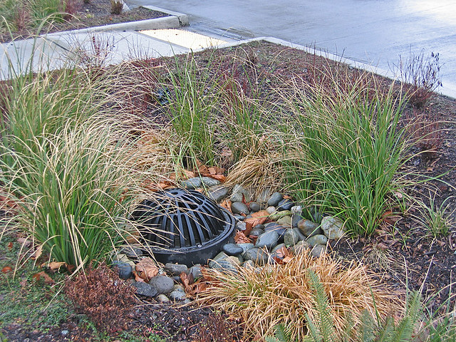 Common Yard Drainage Issues Capital, Area Drains Landscape