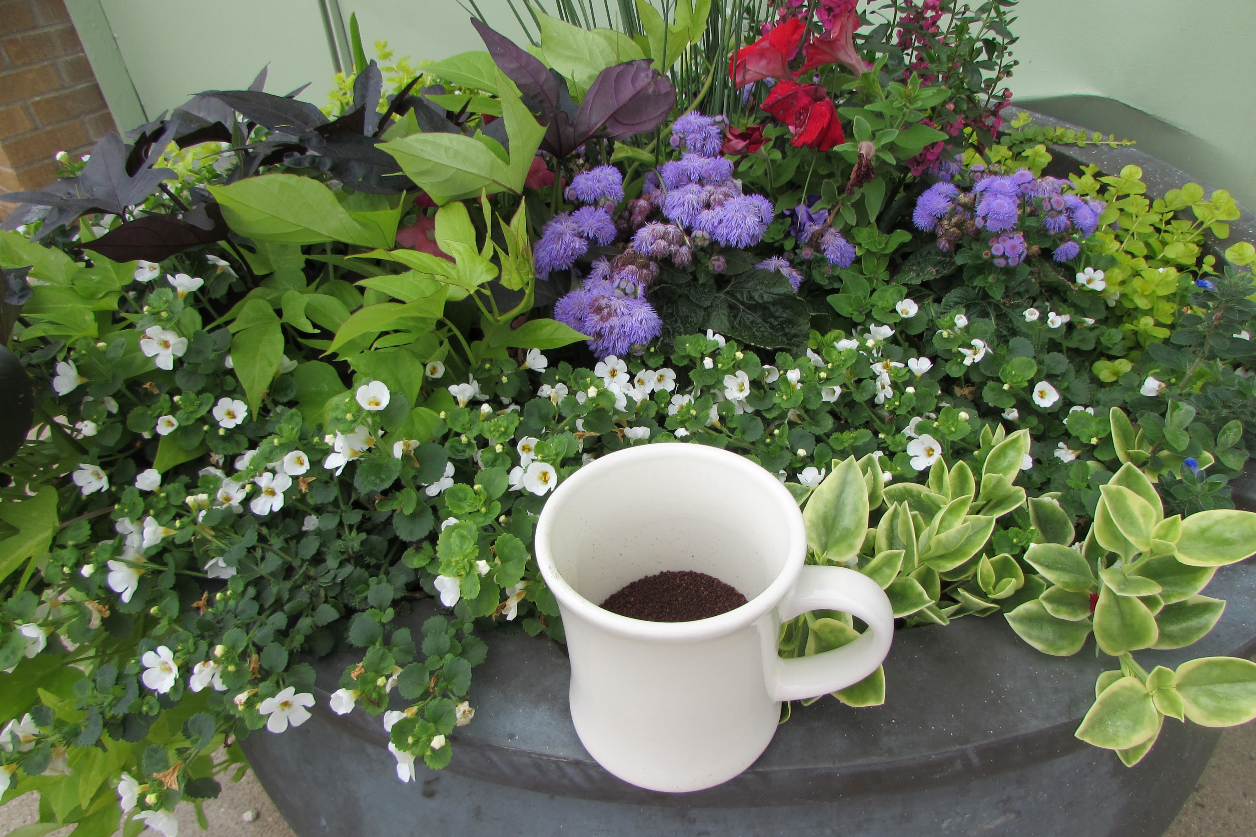 Coffee Mug On Outdoor Planter